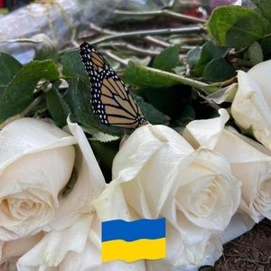 Meet your Posher, Martine